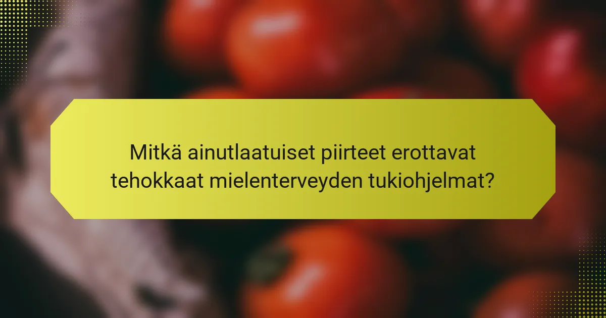 Mitkä ainutlaatuiset piirteet erottavat tehokkaat mielenterveyden tukiohjelmat?
