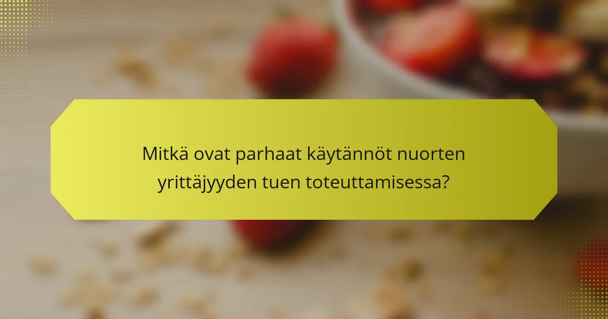 Mitkä ovat parhaat käytännöt nuorten yrittäjyyden tuen toteuttamisessa?